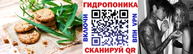 Купить закладки  Скопин  Canna-Cookies марихуана 