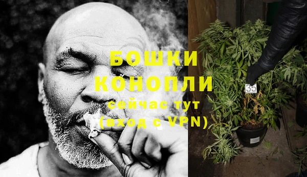 Альфа ПВП Горно-Алтайск