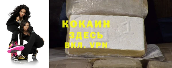 Альфа ПВП Горняк