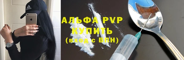 Альфа ПВП Горняк